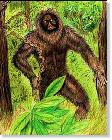 Bigfoot of India illustration