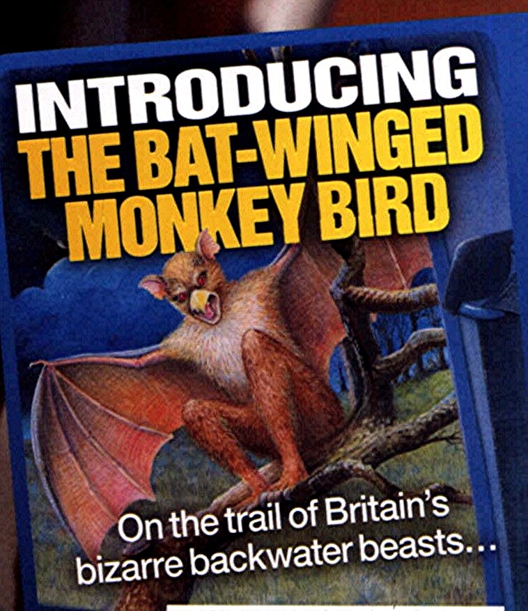 Bat-Winged Monkey-Bird III