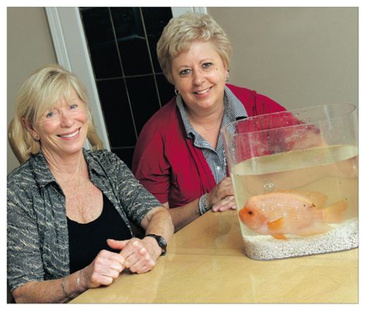 Click to enlarge Lucky Fish