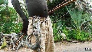 Click to enlarge Hazda hunter gatherer