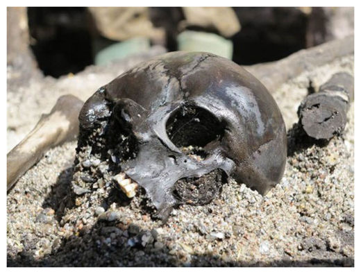 Click to enlarge Ancient Skull