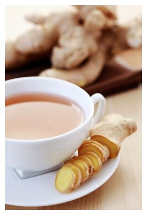 Click to enlarge Ginger