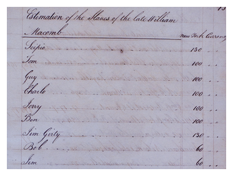 Click to enlarge Slave Ledger