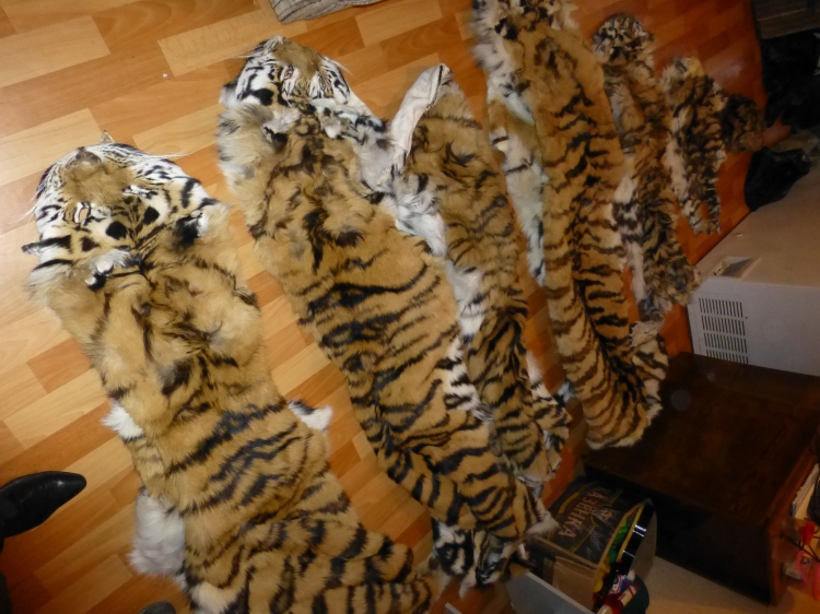 Tiger Skins