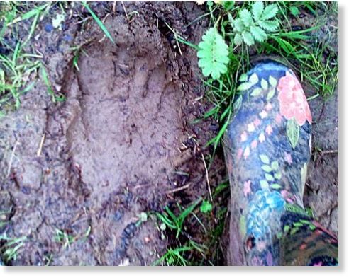 Bigfoot print in Cotswolds