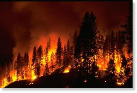 Click to enlarge fire