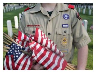 Click to enlarge Scout