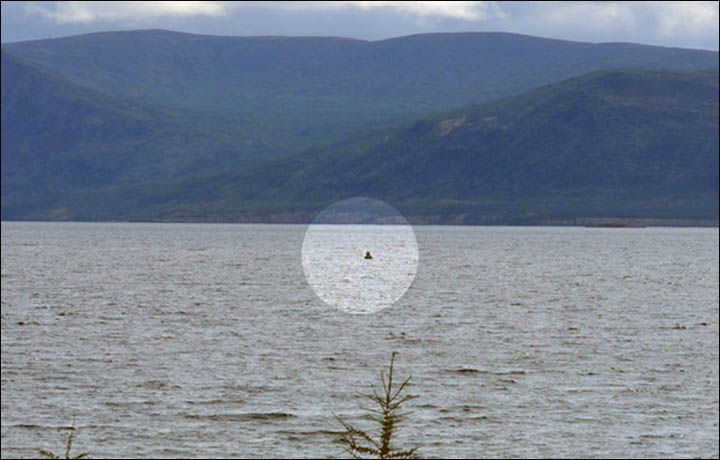 Click to enlarge Siberian Nessie?