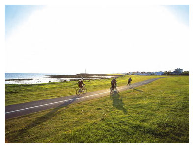 Click to enlarge Cycling in Reykjávik