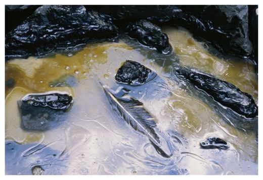 Click to enlarge Contaminated Ground Water