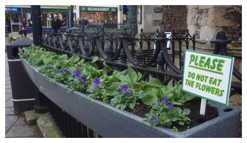 Click to enlarge DO Not Eat Flowers Sign