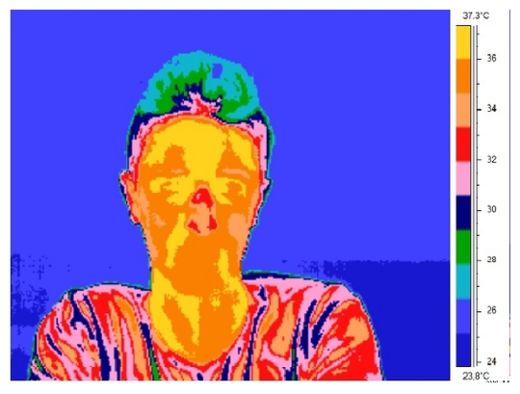 Click to enlarge Thermal Image