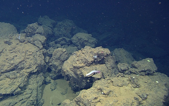 Click to enlarge Underwater Volcano_1