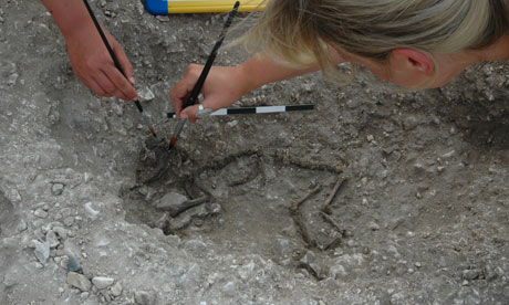 Click to enlarge Silchester dig
