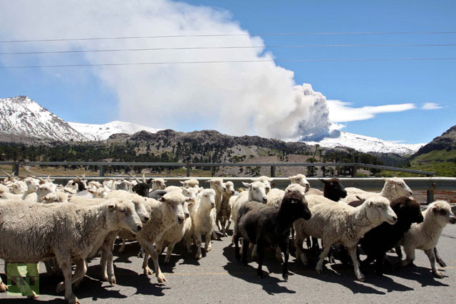 Click to enlarge Copahue Volcano_1