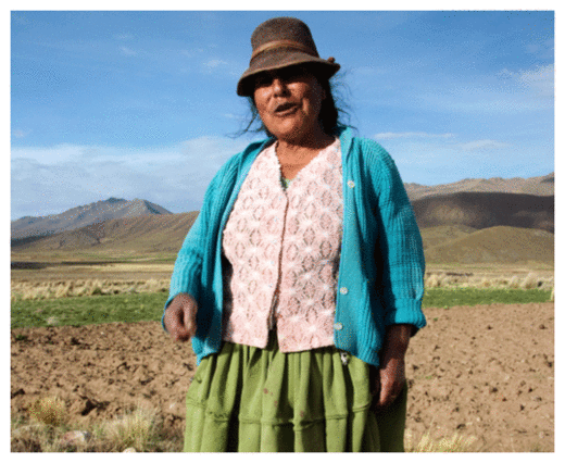 Click to enlarge Bolivian Woman