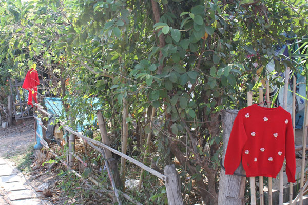 Click to enlarge Red T-shirts_1