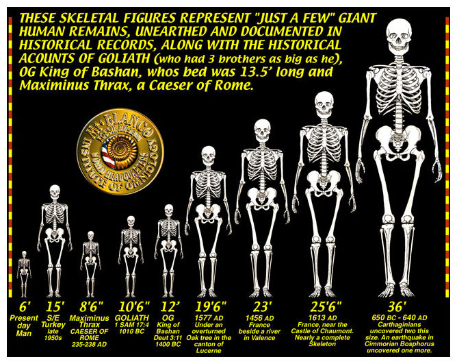 http://www.sott.net/image/s6/128207/full/GIANT_SKELETONS_CHART.jpg