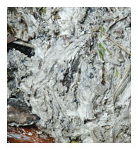 Click to enlarge Meteorite Fragment