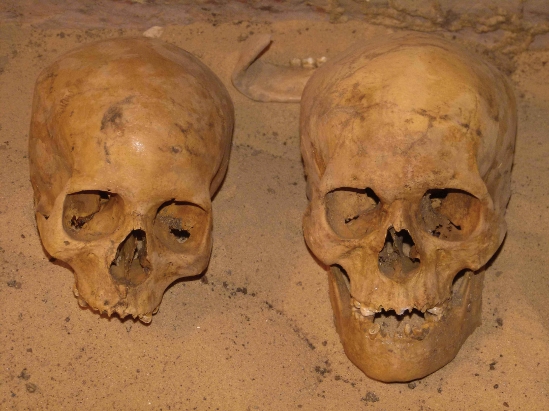 Click to enlarge Ancient Skulls