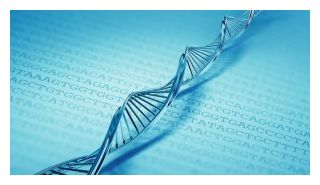 Click to enlarge DNA
