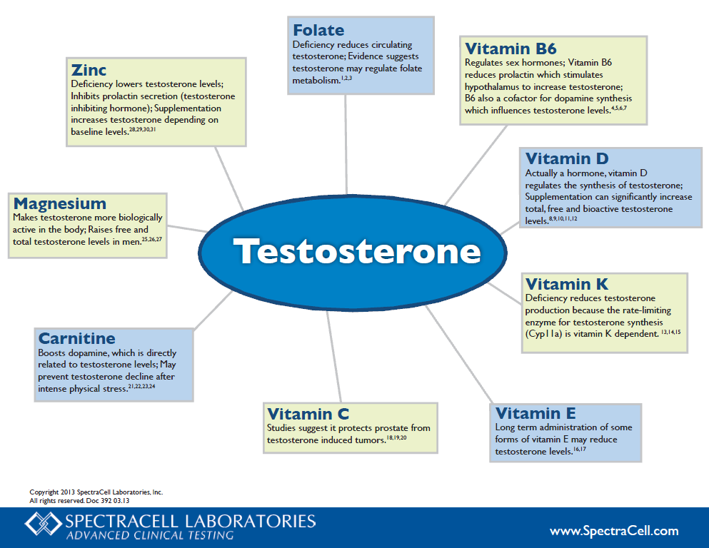 Gluten Testosterone