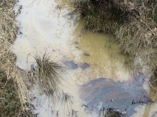 Tar sands oil seen in local waterways weeks after ExxonMobil's Pegasus pipeline ruptured. 