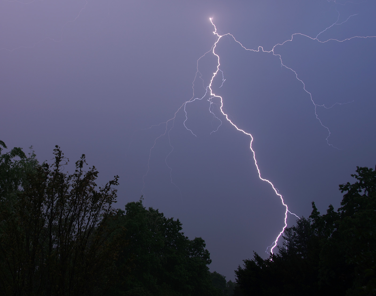 Click to enlarge cicada lightning