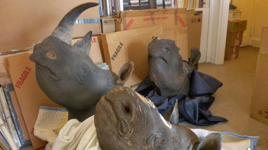 Click to enlarge Horned Rhinos