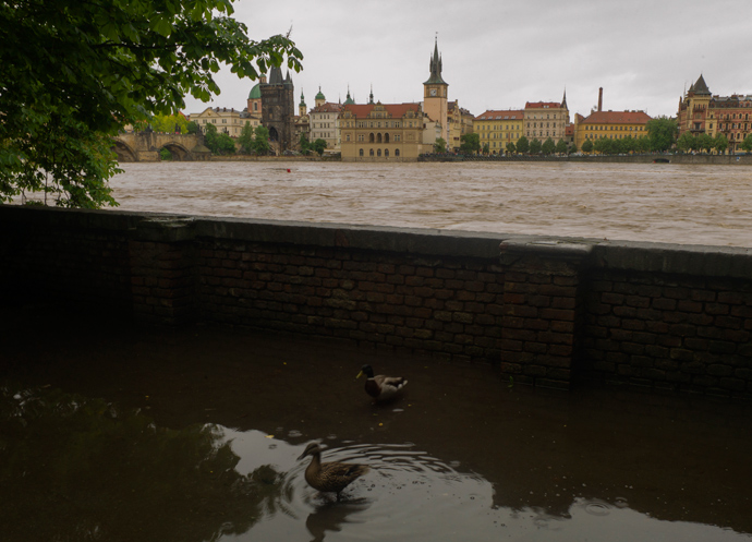 Prague Floods_2