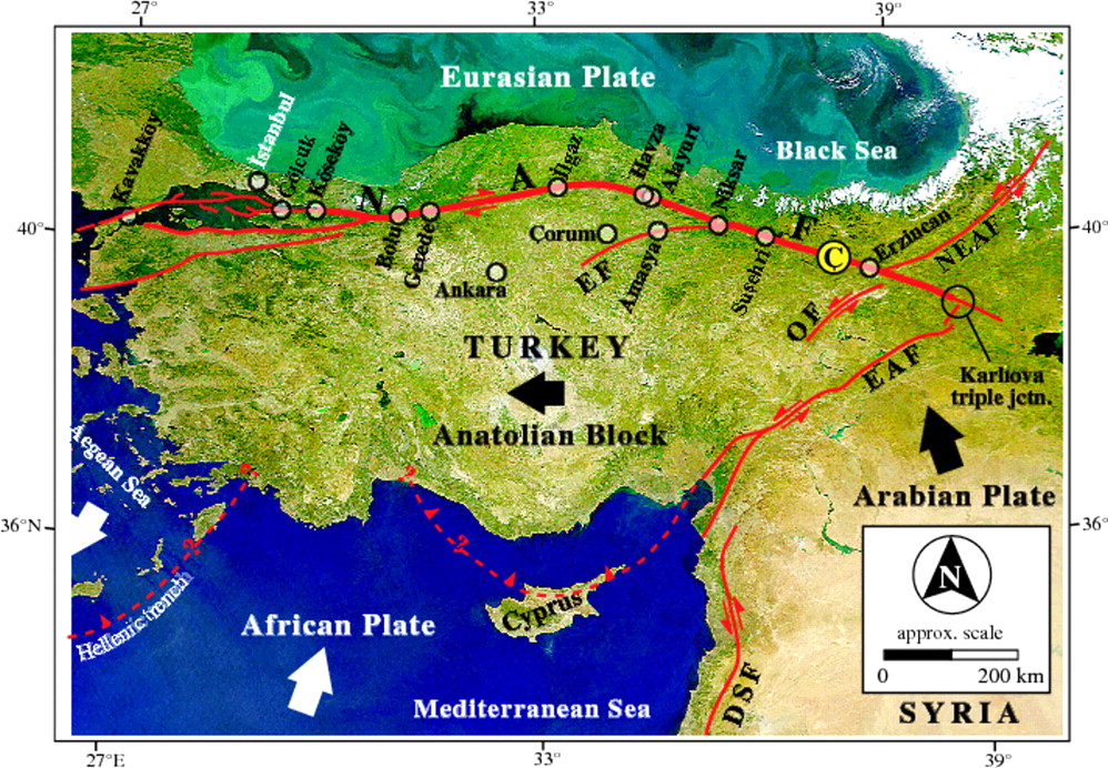 Click to enlarge Image