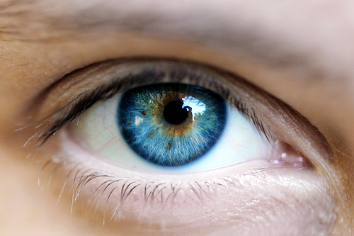 Click to enlarge The Human Eye Emits Light