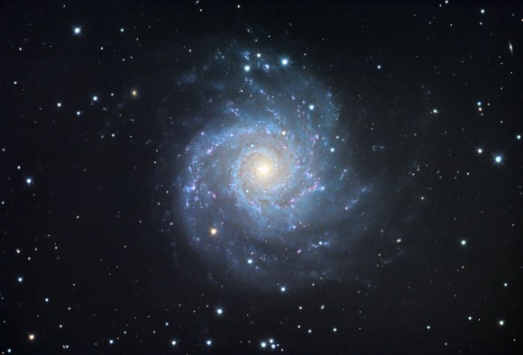 Galaxy M74_1