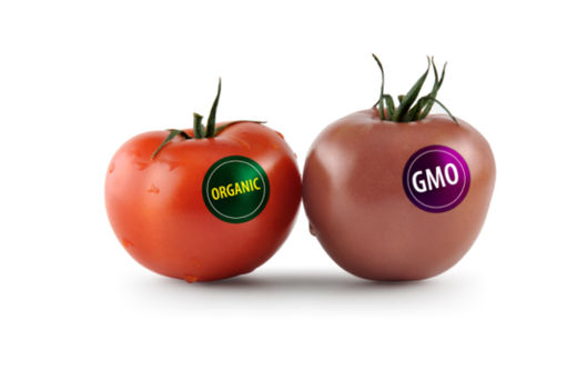 GMO-Non GMO Tomatoes
