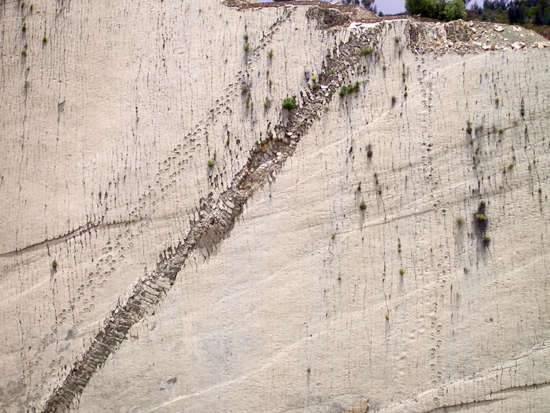 al orko wall of dinosaur footprints sucre bolivia (5)