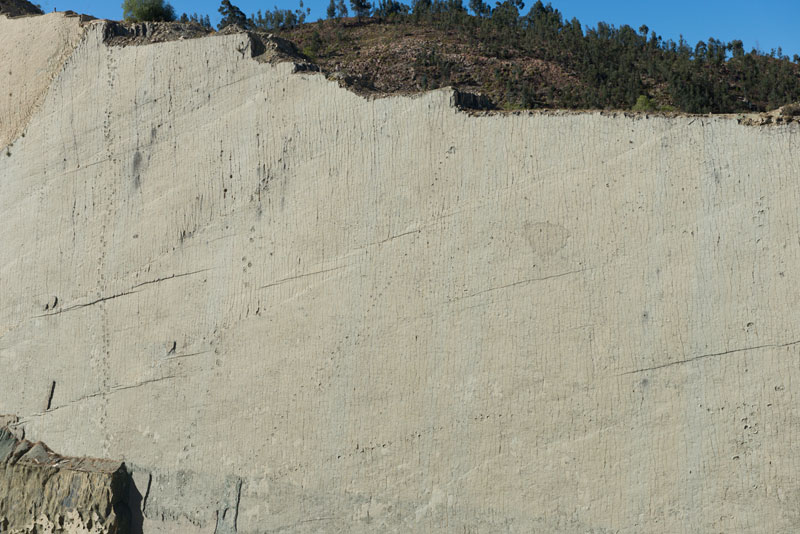 cal orko wall of dinosaur footprints sucre bolivia (11)