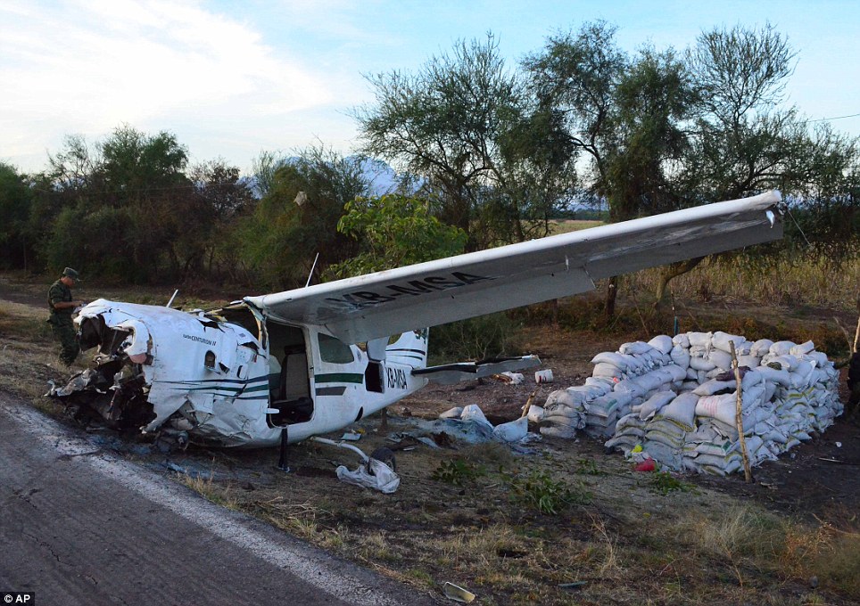 plane crashed in western Mexico 