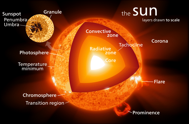 Sturcture of the Sun
