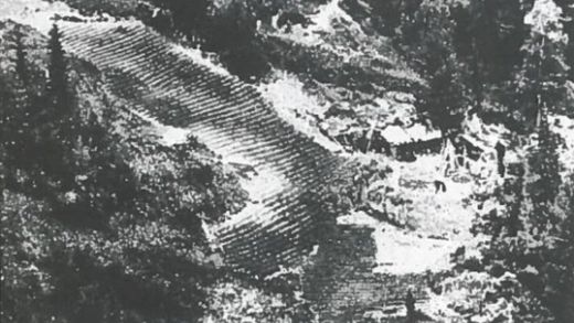 Click to enlarge Image