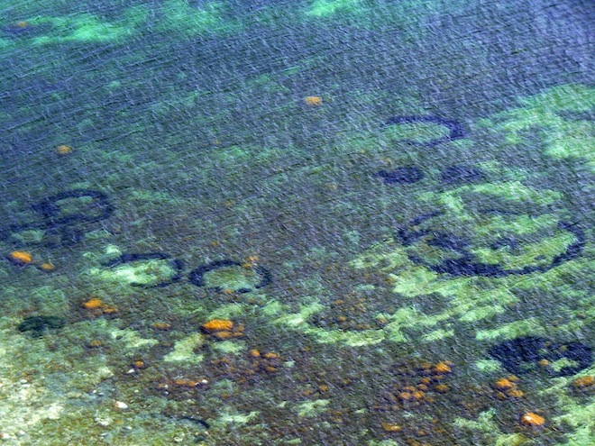 Undersea crop circles
