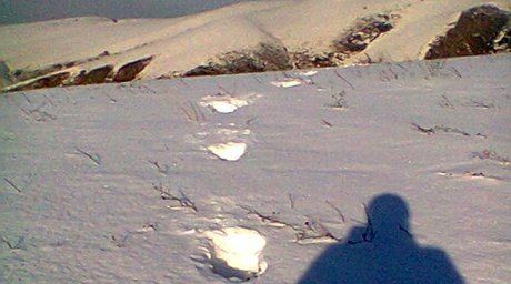 Yeti footprints