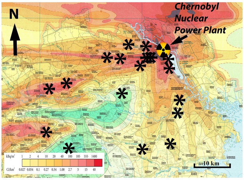 chernobyl forests radiation map