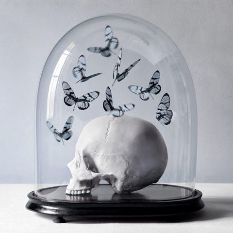 Click to enlarge Skull