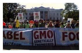 GMO Protest