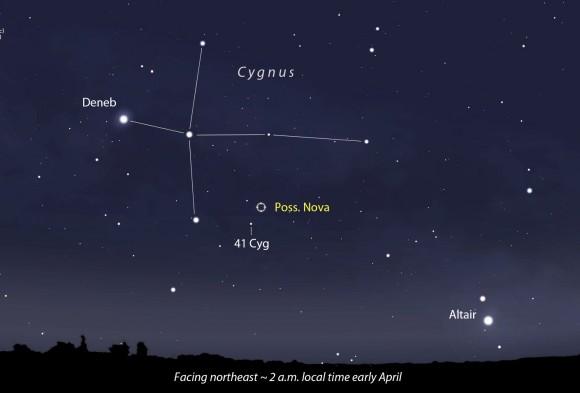 Nova in Cygnus_1