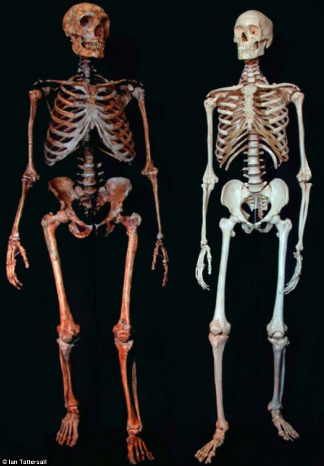 neanderthal genes fat