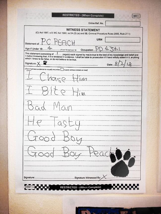 police dog statement
