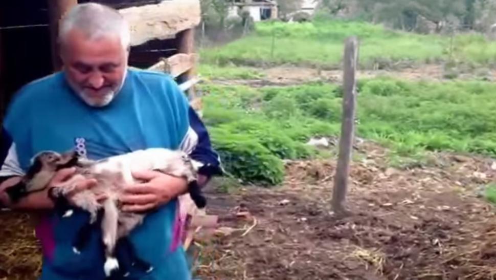 Newborn Goat with 8 Legs!