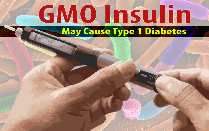 GMO insulin