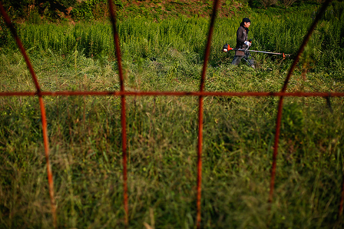 A farmer cuts the grass at an abandoned farm 